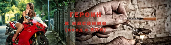 сатива Вяземский
