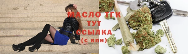 сатива Вяземский