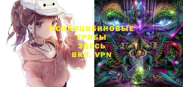 сатива Вяземский