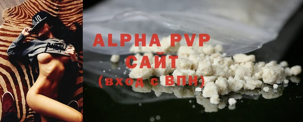 дживик Вязьма