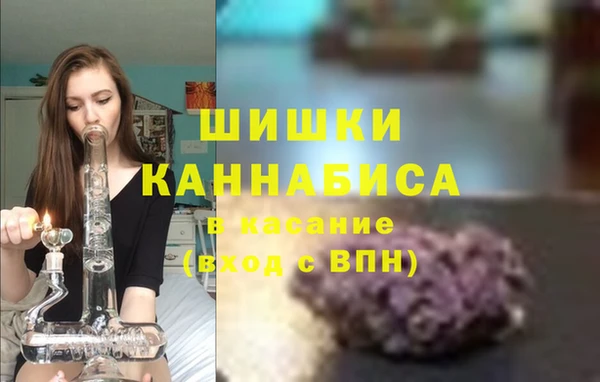дживик Вязьма