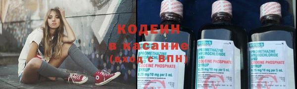 сатива Вяземский