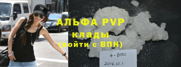 дживик Вязьма