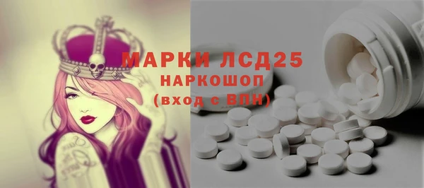 PSILOCYBIN Няндома