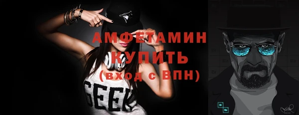 сатива Вяземский