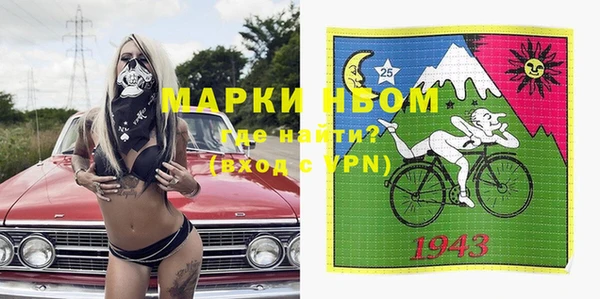 сатива Вяземский