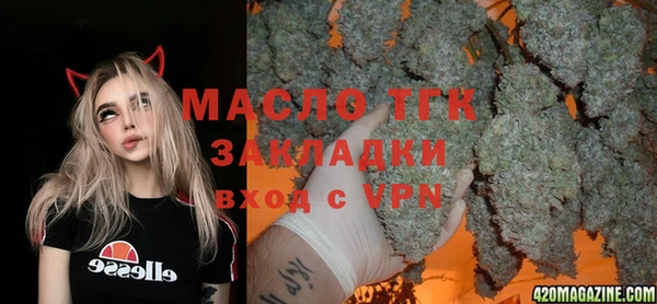 дживик Вязьма
