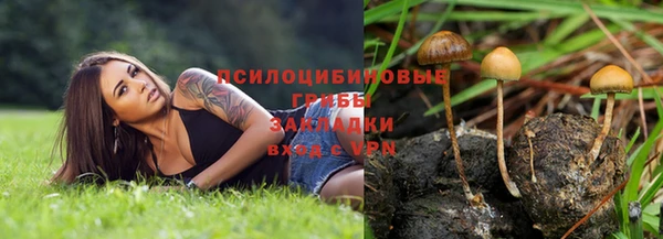дживик Вязьма