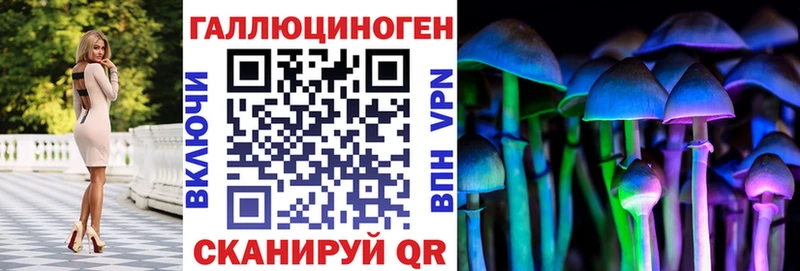 Галлюциногенные грибы MAGIC MUSHROOMS  Болотное 